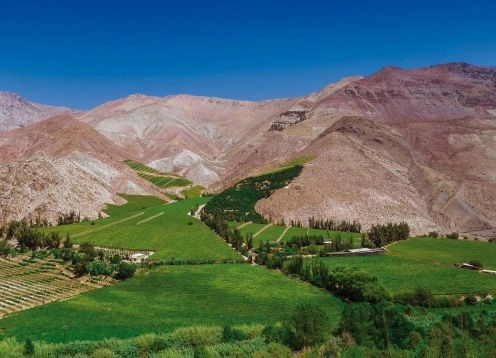 Excursion al Valle del Elqui. La Serena, CHILE