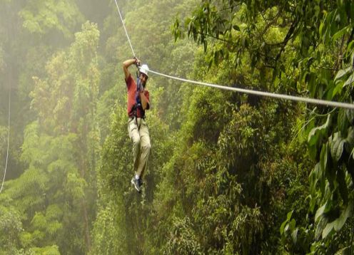 CANOPY. Pucon, CHILE