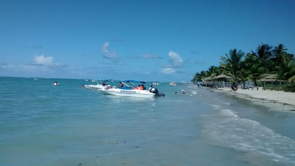 Um dia de viagem para a Praia dos Carneiros de Boa Viagem, Pina ou Piedade - Con Navegacion. Recife, BRASIL