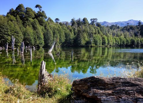 TREKKING CONGUILLIO NATIONAL PARK. Temuco, CHILE