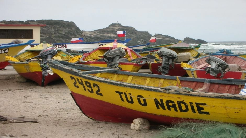 Bautismo Submarino en Punta de Choros, La Serena, CHILE