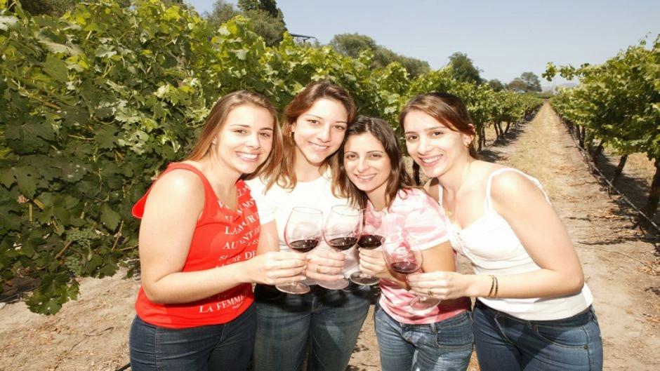 City Tour + Tour del Vino en Concha y Toro, Santiago, CHILE