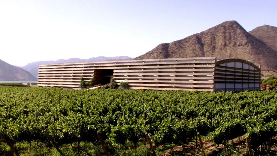 Ruta del Vino, Valle del Limari., La Serena, CHILE