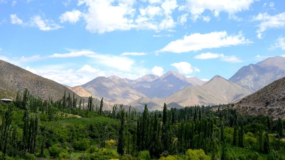 Ruta del Vino, Valle del Limari., La Serena, CHILE