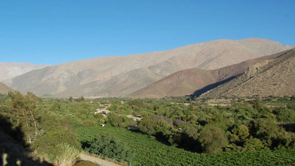 Tour Ruta del Pisco, visitando los Nichos y Capel, La Serena, CHILE