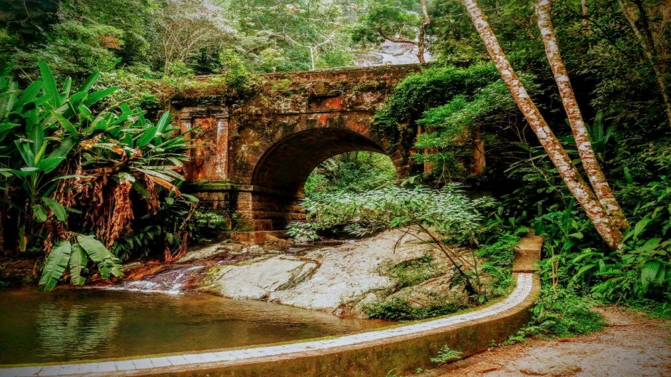 Trekking Parque Nacional Tijuca, Rio de Janeiro, Río de Janeiro, BRASIL