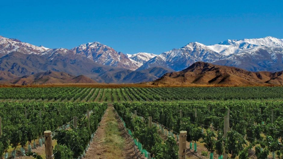 Tour del Vino Valle de Uco, Mendoza, Mendoza, ARGENTINA