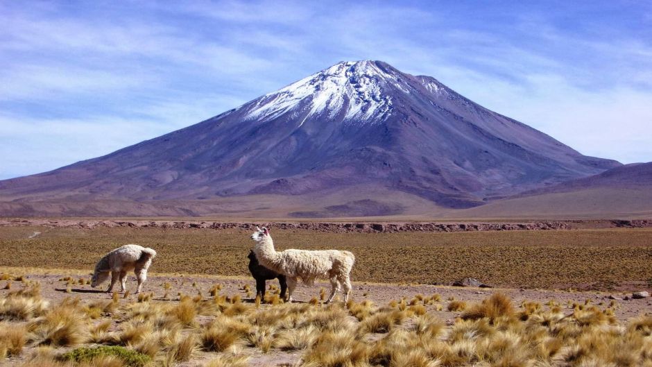 Ascencion Volcan Licancabur, San Pedro de Atacama, CHILE