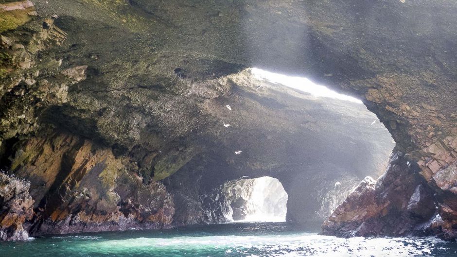 Tour a las Islas Ballestas, Paracas, PERU