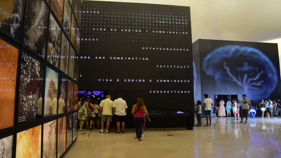 Explorando el centro  histÃ³rico de RÃ­o con Museo del MaÃ±ana, Río de Janeiro, BRASIL