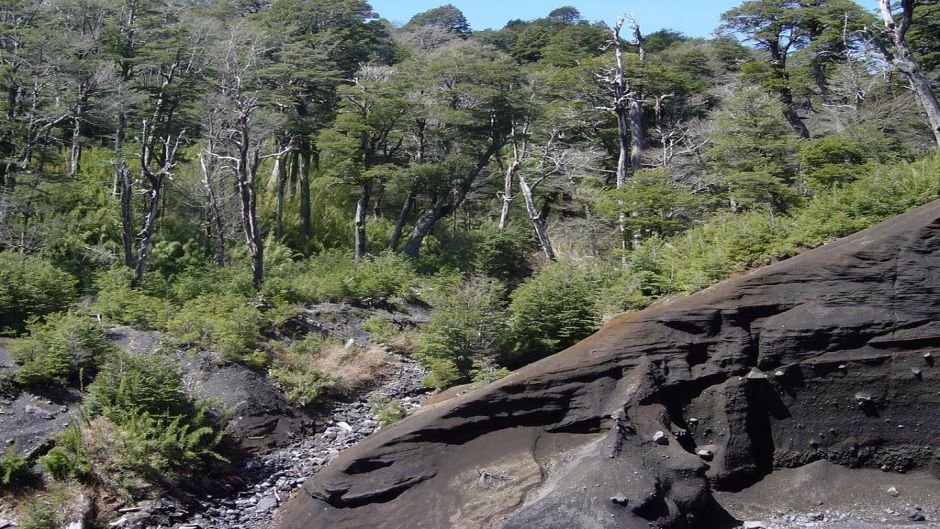 CUEVAS VOLCANICAS, Pucon, CHILE