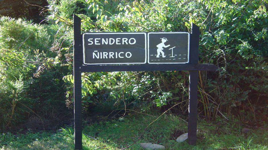 TREKKING PARQUE NACIONAL HUERQUEHUE, Pucon, CHILE