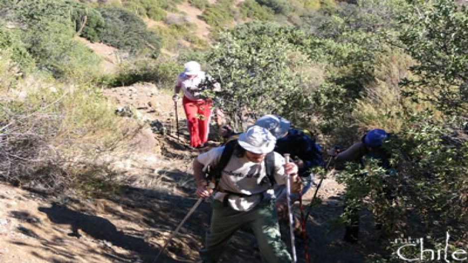 TREKKING ALTO DEL NARANJO / CERRO PROVINCIA, Santiago, CHILE