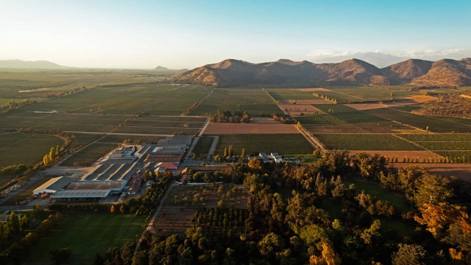 TOUR DEL VINO - VINA SANTA RITA, Santiago, CHILE