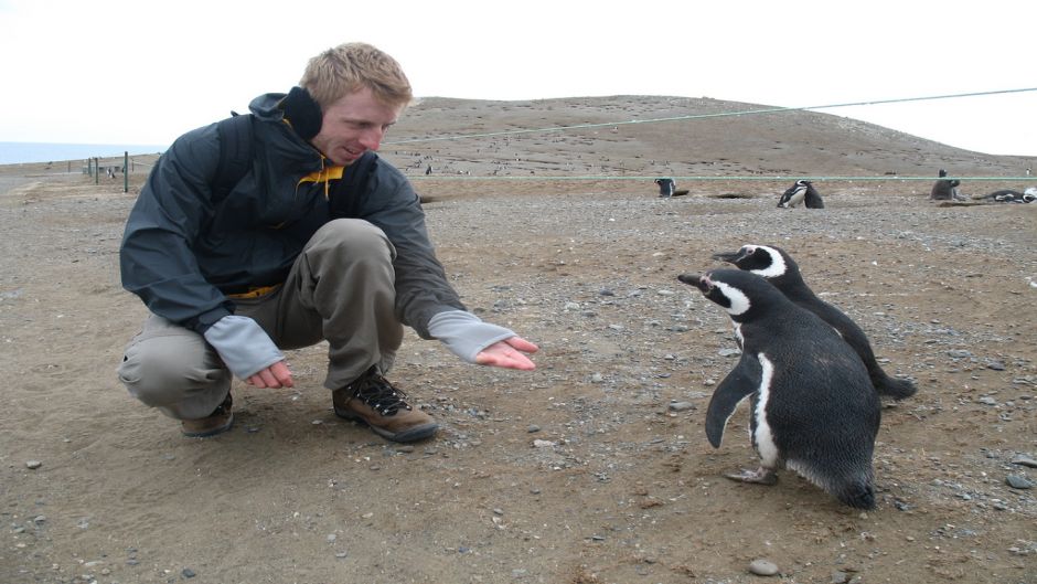 PINGUINERAS ISLA MAGDALENA, Punta Arenas, CHILE