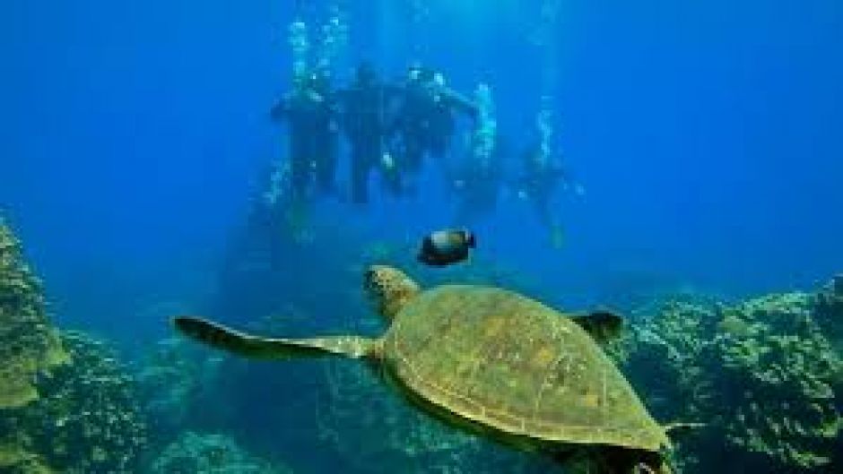 BUCEO - INICIACION O BAUTIZO EN ISLA DE PASCUA, Isla de Pascua, CHILE