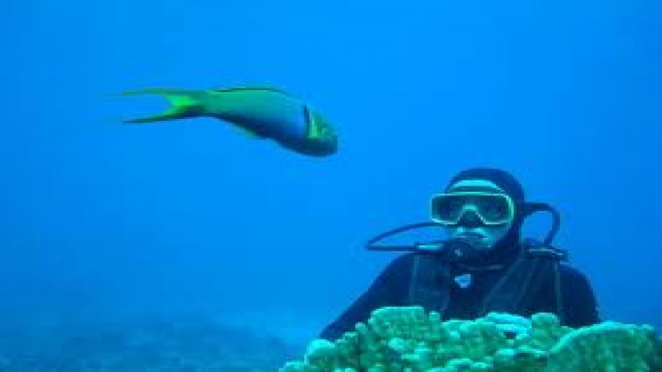 BUCEO - INICIACION O BAUTIZO EN ISLA DE PASCUA, Isla de Pascua, CHILE