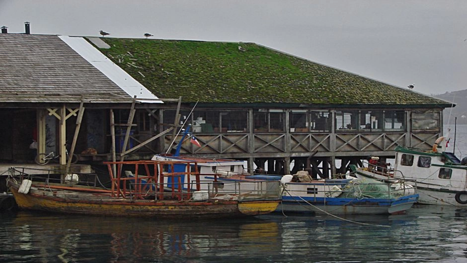 TRANSFER IN + NAVEGACION PEULLA + TOUR A CHILOE + TRANSFER OUT, Puerto Varas, CHILE