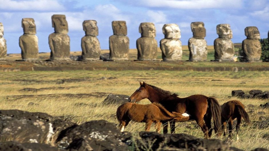 CABALGATA EN ISLA DE PASCUA, Isla de Pascua, CHILE