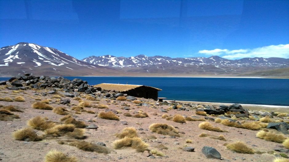 LAGUNAS ALTIPLANICAS -SALAR DE ATACAMA , San Pedro de Atacama, CHILE