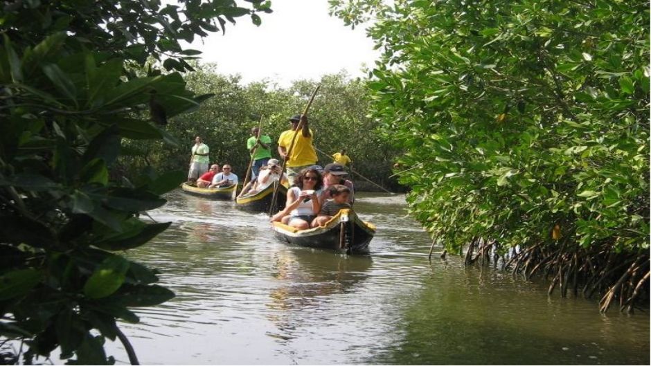 Tour por los manglares de Boquilla, Cartagena de Indias, COLOMBIA