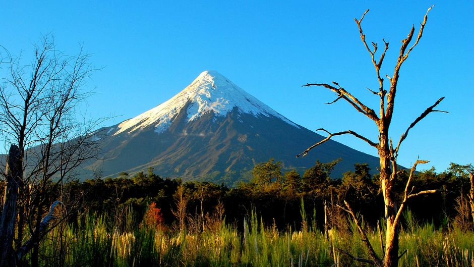 Tour VolcÃ¡n Osorno y Visita a cervecerÃ­a artesanal, Puerto Varas, CHILE