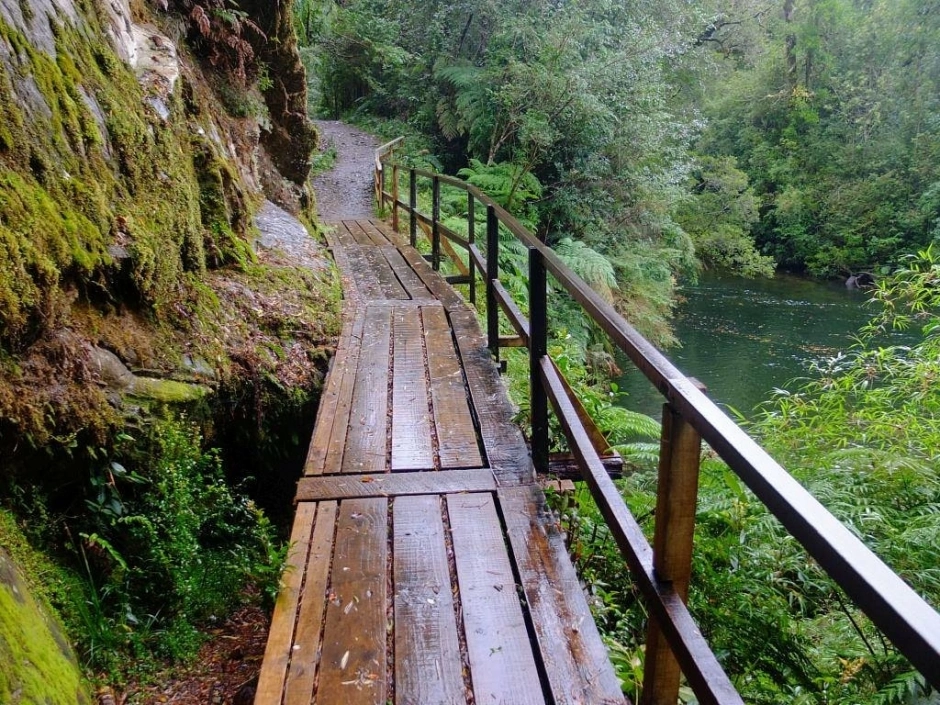 PARQUE ALERCE ANDINO, Puerto Varas, CHILE