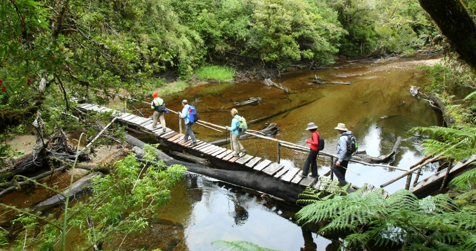 PARQUE ALERCE ANDINO, Puerto Varas, CHILE