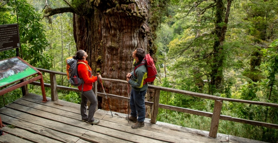 PARQUE ALERCE ANDINO, Puerto Varas, CHILE