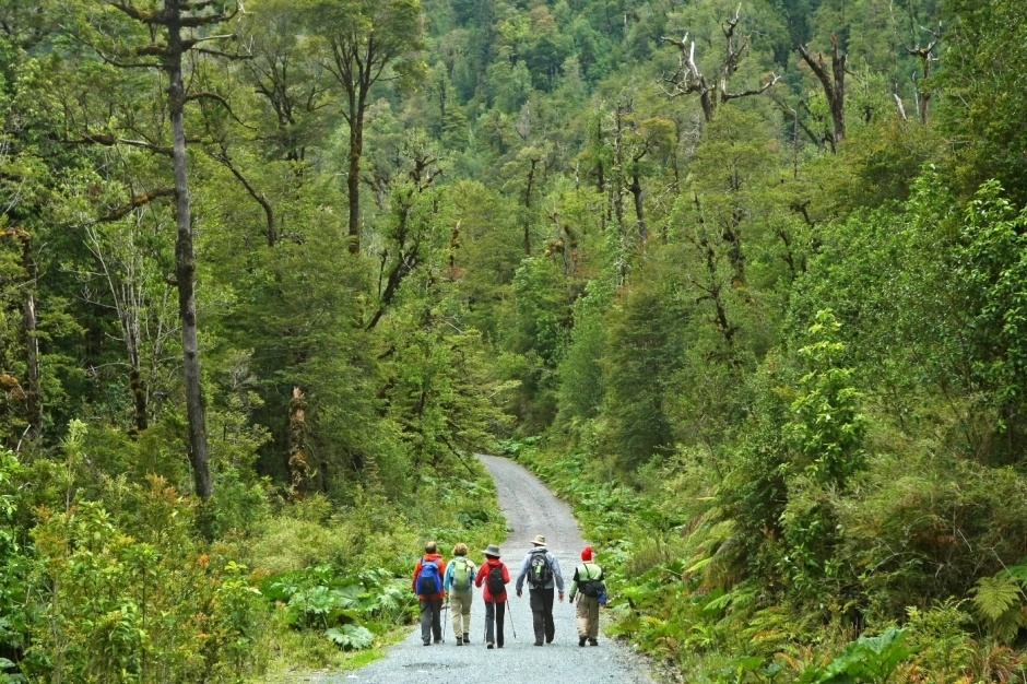 PARQUE ALERCE ANDINO, Puerto Varas, CHILE