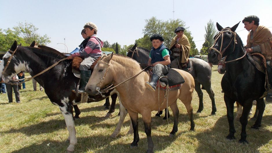 Dia de campo, como un Gaucho.  Campo Argentino, Buenos Aires, ARGENTINA