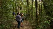 SENDEROS DEL CHUCAO - TREKKING / CANOPY, Valdivia, CHILE