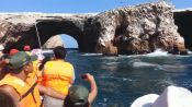 Tour a las Islas Ballestas, Paracas, PERU