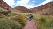 TERMAS DE PURITAMA, San Pedro de Atacama, CHILE