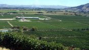 TOUR DEL VINO - VALLE DE COLCHAGUA, Santiago, CHILE