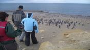 PINGUINERAS ISLA MAGDALENA, Punta Arenas, CHILE