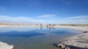 LAGUNA CEJAR, TEBENQUINCHE + OJOS DE SALAR, San Pedro de Atacama, CHILE