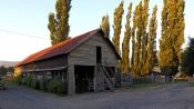 Excursion a Chiloe, visitando Ancud, Caulin y Lacuy, Puerto Varas, CHILE