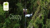CANOPY, Pucon, CHILE
