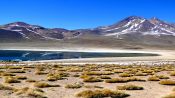 LAGUNAS ALTIPLANICAS -SALAR DE ATACAMA , San Pedro de Atacama, CHILE