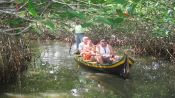 Tour por los manglares de Boquilla, Cartagena de Indias, COLOMBIA