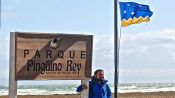 Tierra del Fuego y Parque Pinguino Rey, Punta Arenas, CHILE