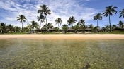 Tour de dia completo a Porto de Galinhas desde Recife. Brasil, Recife, BRASIL