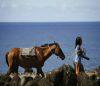 CONOCIENDO ISLA DE PASCUA