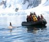 AERO-CRUCERO ANTARTICA CLASICA