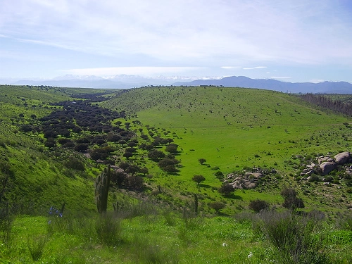  Tabali Vineyard Tour + Valle del Encanto. , 