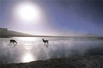 La Ruta de los Salares, San Pedro de Atacama, CHILE