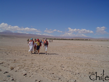 SALAR DE ATACAMA - TOCONAO, San Pedro de Atacama, CHILE